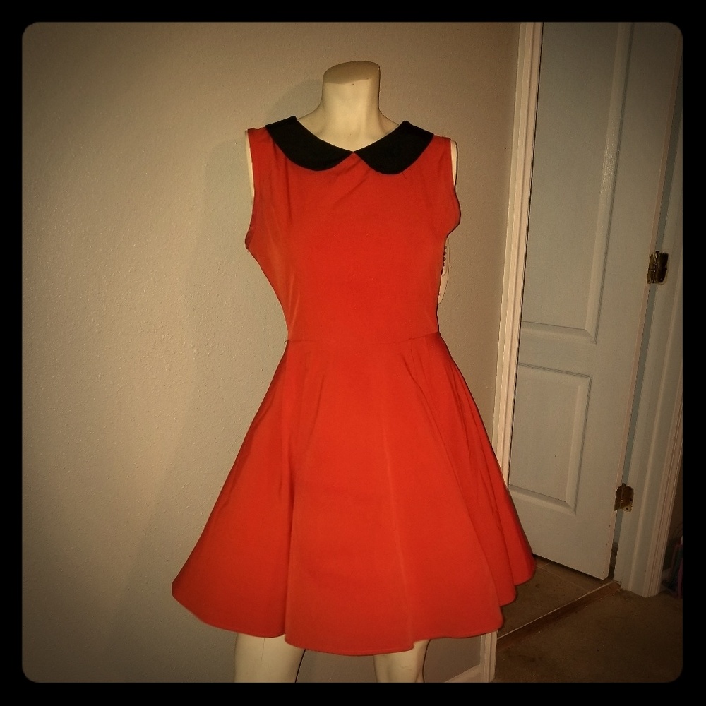 Peter Pan Collar vintage dress